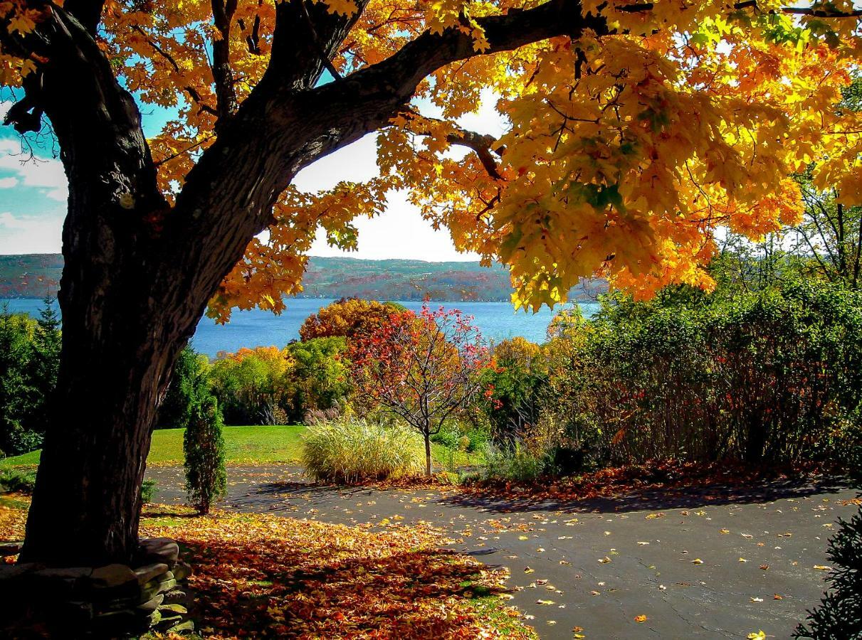 Moonshadow B&B Hammondsport Εξωτερικό φωτογραφία